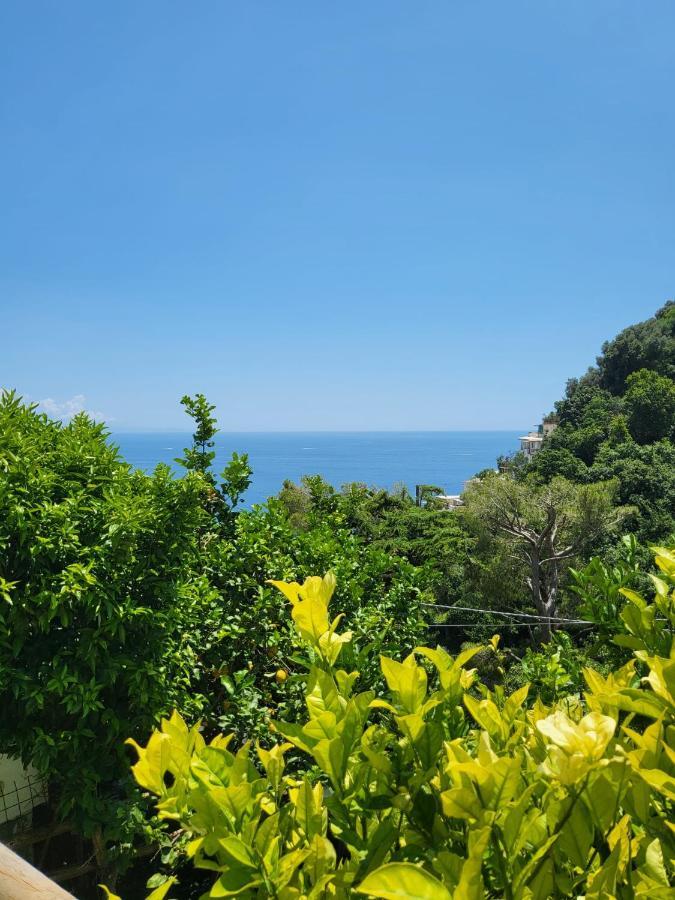 Cottage L'Americano Positano Bagian luar foto